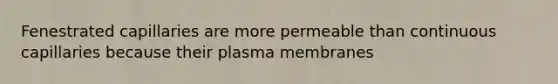 Fenestrated capillaries are more permeable than continuous capillaries because their plasma membranes