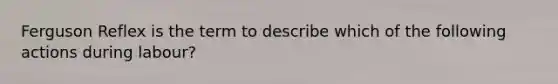 Ferguson Reflex is the term to describe which of the following actions during labour?