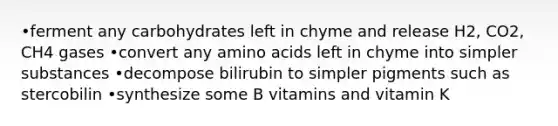 •ferment any carbohydrates left in chyme and release H2, CO2, CH4 gases •convert any <a href='https://www.questionai.com/knowledge/k9gb720LCl-amino-acids' class='anchor-knowledge'>amino acids</a> left in chyme into simpler substances •decompose bilirubin to simpler pigments such as stercobilin •synthesize some B vitamins and vitamin K