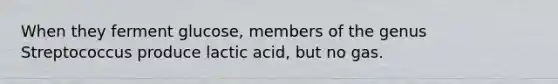 When they ferment glucose, members of the genus Streptococcus produce lactic acid, but no gas.