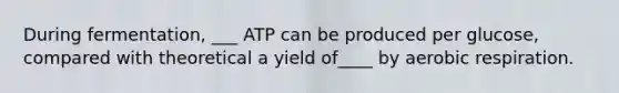 During fermentation, ___ ATP can be produced per glucose, compared with theoretical a yield of____ by aerobic respiration.