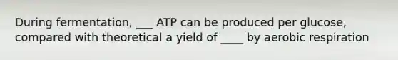 During fermentation, ___ ATP can be produced per glucose, compared with theoretical a yield of ____ by aerobic respiration