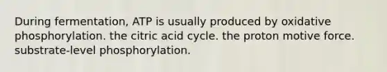 During fermentation, ATP is usually produced by oxidative phosphorylation. the citric acid cycle. the proton motive force. substrate-level phosphorylation.