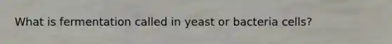 What is fermentation called in yeast or bacteria cells?