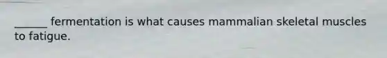 ______ fermentation is what causes mammalian skeletal muscles to fatigue.