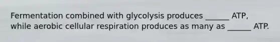 Fermentation combined with glycolysis produces ______ ATP, while aerobic <a href='https://www.questionai.com/knowledge/k1IqNYBAJw-cellular-respiration' class='anchor-knowledge'>cellular respiration</a> produces as many as ______ ATP.