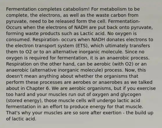 Fermentation completes catabolism! For metabolism to be complete, the electrons, as well as the waste carbon from pyruvate, need to be released form the cell. Fermentation- Occurs when the electrons of NADH are put back onto pyruvate, forming waste products such as Lactic acid. No oxygen is consumed. Respiration- occurs when NADH donates electrons to the <a href='https://www.questionai.com/knowledge/kbvjAonm6A-electron-transport-system' class='anchor-knowledge'>electron transport system</a> (ETS), which ultimately transfers them to O2 or to an alternative inorganic molecule. Since no oxygen is required for fermentation, it is an anaerobic process. Respiration on the other hand, can be aerobic (with O2) or an anaerobic (alternative inorganic molecule) process. Now, this doesn't mean anything about whether the organisms that perform these processes are aerobes or anaerobes as we talked about in Chapter 6. We are aerobic organisms, but if you exercise too hard and your muscles run out of oxygen and glycogen (stored energy), those muscle cells will undergo lactic acid fermentation in an effort to produce energy for that muscle. That's why your muscles are so sore after exertion - the build up of lactic acid.