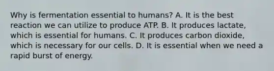 Why is fermentation essential to humans? A. It is the best reaction we can utilize to produce ATP. B. It produces lactate, which is essential for humans. C. It produces carbon dioxide, which is necessary for our cells. D. It is essential when we need a rapid burst of energy.