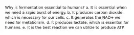 Why is fermentation essential to humans? a. It is essential when we need a rapid burst of energy. b. It produces carbon dioxide, which is necessary for our cells. c. It generates the NAD+ we need for metabolism. d. It produces lactate, which is essential for humans. e. It is the best reaction we can utilize to produce ATP.