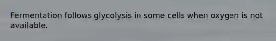 Fermentation follows glycolysis in some cells when oxygen is not available.