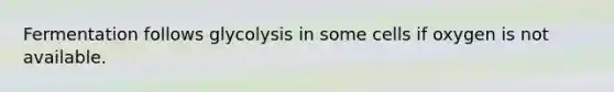 Fermentation follows glycolysis in some cells if oxygen is not available.