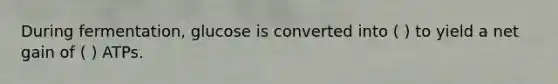 During fermentation, glucose is converted into ( ) to yield a net gain of ( ) ATPs.