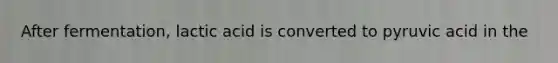 After fermentation, lactic acid is converted to pyruvic acid in the