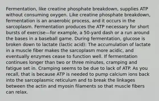 Fermentation, like creatine phosphate breakdown, supplies ATP without consuming oxygen. Like creatine phosphate breakdown, fermentation is an anaerobic process, and it occurs in the sarcoplasm. Fermentation produces the ATP necessary for short bursts of exercise—for example, a 50-yard dash or a run around the bases in a baseball game. During fermentation, glucose is broken down to lactate (lactic acid): The accumulation of lactate in a muscle fiber makes the sarcoplasm more acidic, and eventually enzymes cease to function well. If fermentation continues longer than two or three minutes, cramping and fatigue set in. Cramping seems to be due to lack of ATP. As you recall, that is because ATP is needed to pump calcium ions back into the sarcoplasmic reticulum and to break the linkages between the actin and myosin filaments so that muscle fibers can relax.