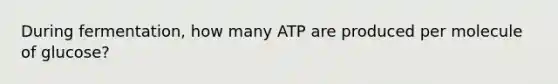 During fermentation, how many ATP are produced per molecule of glucose?