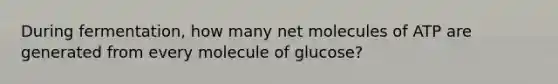 During fermentation, how many net molecules of ATP are generated from every molecule of glucose?