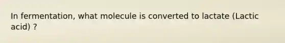 In fermentation, what molecule is converted to lactate (Lactic acid) ?