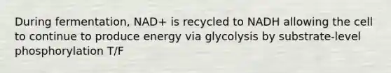 During fermentation, NAD+ is recycled to NADH allowing the cell to continue to produce energy via glycolysis by substrate-level phosphorylation T/F