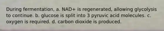 During fermentation, a. NAD+ is regenerated, allowing glycolysis to continue. b. glucose is split into 3 pyruvic acid molecules. c. oxygen is required. d. carbon dioxide is produced.