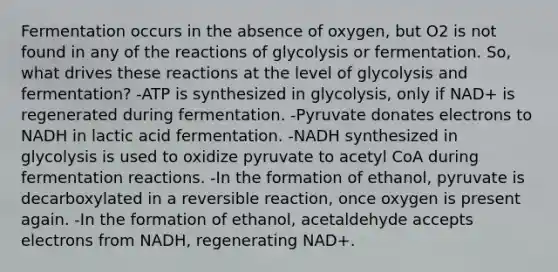 Fermentation occurs in the absence of oxygen, but O2 is not found in any of the reactions of glycolysis or fermentation. So, what drives these reactions at the level of glycolysis and fermentation? -ATP is synthesized in glycolysis, only if NAD+ is regenerated during fermentation. -Pyruvate donates electrons to NADH in lactic acid fermentation. -NADH synthesized in glycolysis is used to oxidize pyruvate to acetyl CoA during fermentation reactions. -In the formation of ethanol, pyruvate is decarboxylated in a reversible reaction, once oxygen is present again. -In the formation of ethanol, acetaldehyde accepts electrons from NADH, regenerating NAD+.