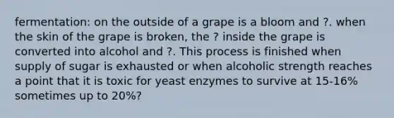 fermentation: on the outside of a grape is a bloom and ?. when the skin of the grape is broken, the ? inside the grape is converted into alcohol and ?. This process is finished when supply of sugar is exhausted or when alcoholic strength reaches a point that it is toxic for yeast enzymes to survive at 15-16% sometimes up to 20%?