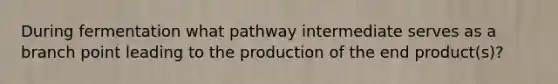 During fermentation what pathway intermediate serves as a branch point leading to the production of the end product(s)?