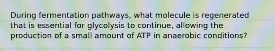 During fermentation pathways, what molecule is regenerated that is essential for glycolysis to continue, allowing the production of a small amount of ATP in anaerobic conditions?