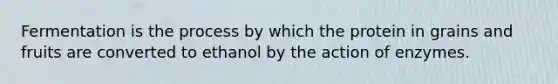 Fermentation is the process by which the protein in grains and fruits are converted to ethanol by the action of enzymes.