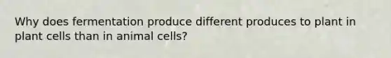 Why does fermentation produce different produces to plant in plant cells than in animal cells?