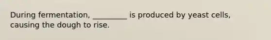 During fermentation, _________ is produced by yeast cells, causing the dough to rise.