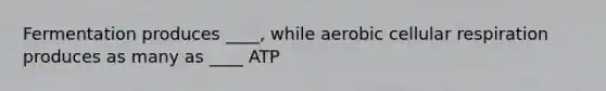 Fermentation produces ____, while aerobic <a href='https://www.questionai.com/knowledge/k1IqNYBAJw-cellular-respiration' class='anchor-knowledge'>cellular respiration</a> produces as many as ____ ATP