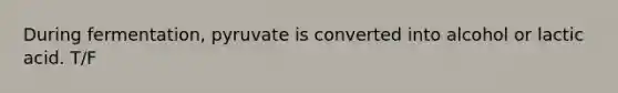 During fermentation, pyruvate is converted into alcohol or lactic acid. T/F