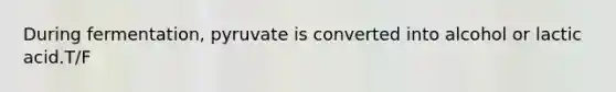 During fermentation, pyruvate is converted into alcohol or lactic acid.T/F