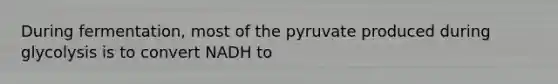 During fermentation, most of the pyruvate produced during glycolysis is to convert NADH to