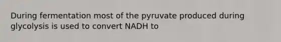 During fermentation most of the pyruvate produced during glycolysis is used to convert NADH to