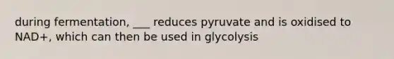 during fermentation, ___ reduces pyruvate and is oxidised to NAD+, which can then be used in glycolysis