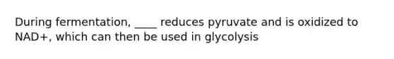 During fermentation, ____ reduces pyruvate and is oxidized to NAD+, which can then be used in glycolysis