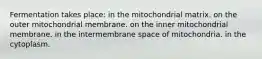 Fermentation takes place: in the mitochondrial matrix. on the outer mitochondrial membrane. on the inner mitochondrial membrane. in the intermembrane space of mitochondria. in the cytoplasm.