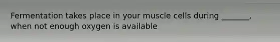 Fermentation takes place in your muscle cells during _______, when not enough oxygen is available