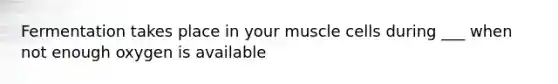 Fermentation takes place in your muscle cells during ___ when not enough oxygen is available