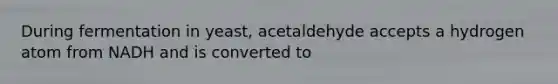 During fermentation in yeast, acetaldehyde accepts a hydrogen atom from NADH and is converted to