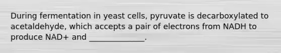 During fermentation in yeast cells, pyruvate is decarboxylated to acetaldehyde, which accepts a pair of electrons from NADH to produce NAD+ and ______________.