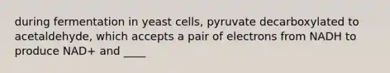 during fermentation in yeast cells, pyruvate decarboxylated to acetaldehyde, which accepts a pair of electrons from NADH to produce NAD+ and ____