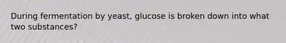 During fermentation by yeast, glucose is broken down into what two substances?