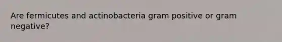 Are fermicutes and actinobacteria gram positive or gram negative?