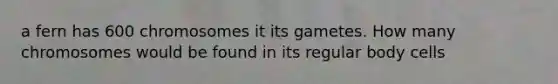 a fern has 600 chromosomes it its gametes. How many chromosomes would be found in its regular body cells
