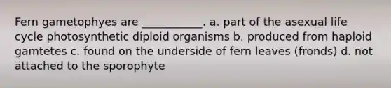 Fern gametophyes are ___________. a. part of the asexual life cycle photosynthetic diploid organisms b. produced from haploid gamtetes c. found on the underside of fern leaves (fronds) d. not attached to the sporophyte