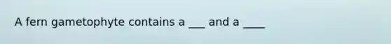 A fern gametophyte contains a ___ and a ____