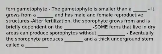 fern gametophyte - The gametophyte is smaller than a ______ - It grows from a _______ and has male and female reproductive structures -After fertilization, the sporophyte grows from and is briefly dependent on the ____________ -SOME ferns that live in dry areas can produce sporophytes without ____________ - Eventually the sporophyte produces ________ and a thick underground stem called a __________