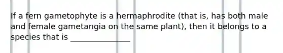 If a fern gametophyte is a hermaphrodite (that is, has both male and female gametangia on the same plant), then it belongs to a species that is _______________